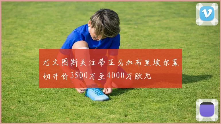 尤文图斯关注蒂亚戈加布里埃尔莱切开价3500万至4000万欧元