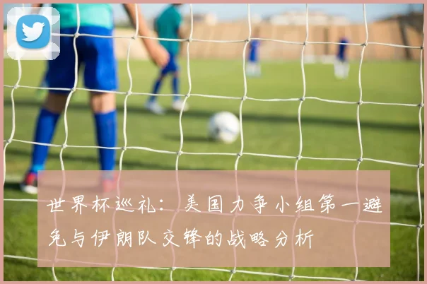 世界杯巡礼：美国力争小组第一避免与伊朗队交锋的战略分析